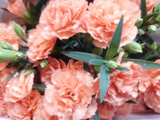 �C�t����